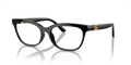 Black Tortoise
