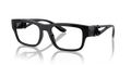 Black Tortoise