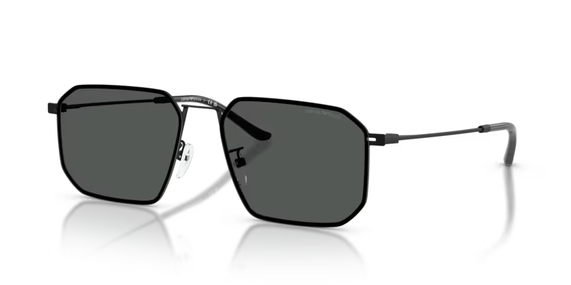 Emporio Armani EA2165D 300180 Matte Black Sunglasses