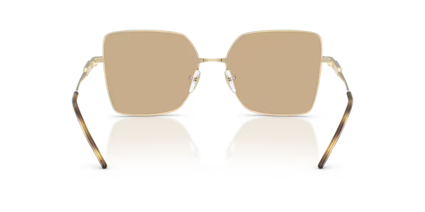 Emporio Armani EA2179 301373 Shiny Pale Gold Square Sunglasses