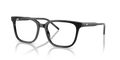 Black Tortoise