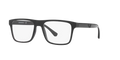 Black Tortoise