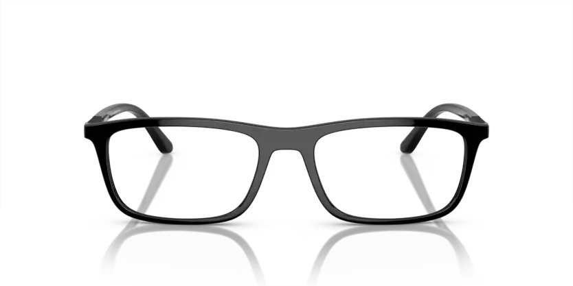 EMPORIO ARMANI EA 4160
