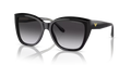 Black Gradient grey 50178G