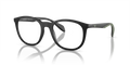 Black Tortoise