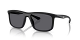 Emporio Armani 0EA4234U Square Sunglasses