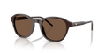 Shiny brown Brown 625573