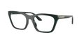 Shiny Dark Green 63801W