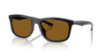 Shiny black Dark brown polarized  501783