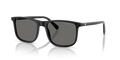 Shiny black Grey 501787