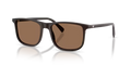 Shiny brown Dark brown n  645273