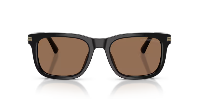 Emporio Armani EA4282U 501773 Sunglasses