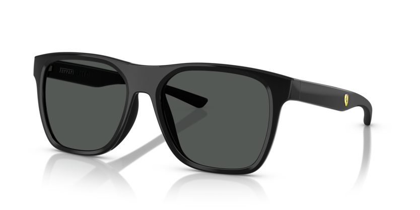 0FZ6013D