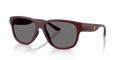Red Bordeaux Matte 530/81
