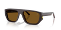 Tortoise Brown 744/83