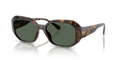 300671 - Dark tortoise