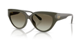 39023M - Olive
