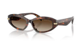 403113 - Luggage tortoise
