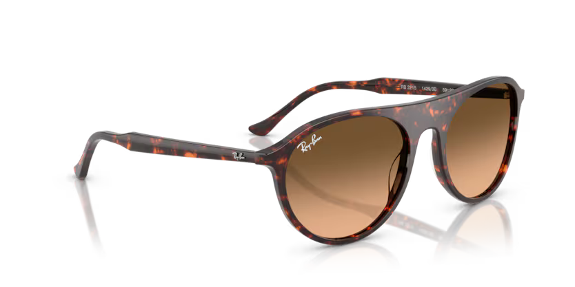 RAYBAN 0RB2215 14293B