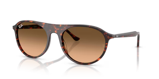 RAYBAN 0RB2215 14293B