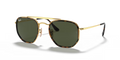 Arista Gold 001