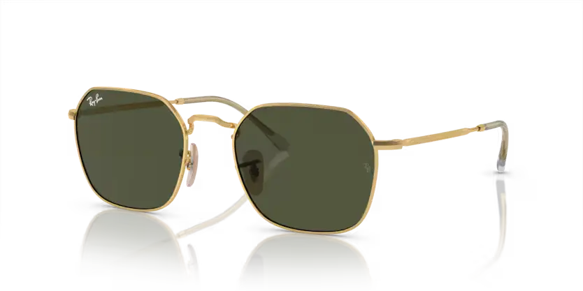 RAYBAN 0RB3694 001/31