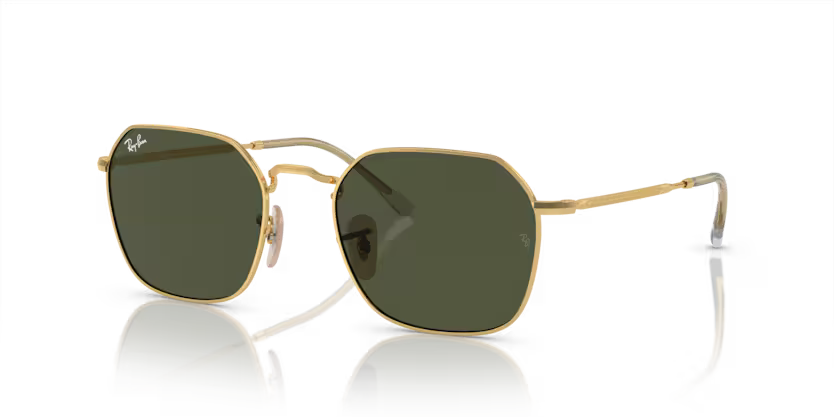 RAYBAN 0RB3694 001/31