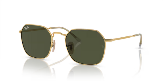 RAYBAN 0RB3694 001/31