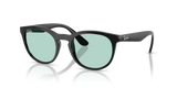 Rayban 0RB4252I 60165