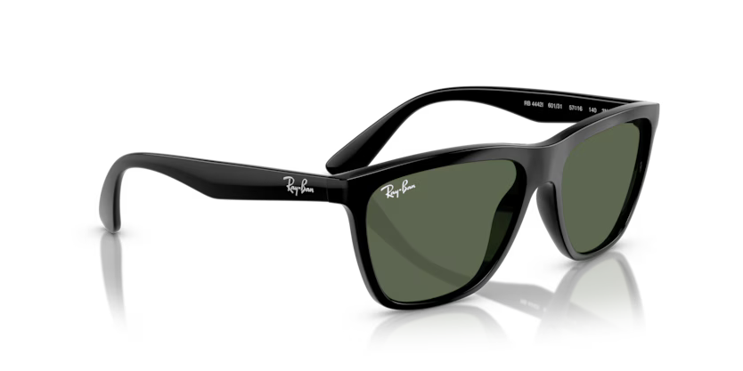 RAYBAN 0RB4442I