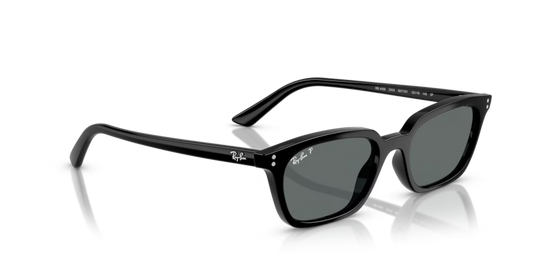 RAYBAN 0RB4456 667781