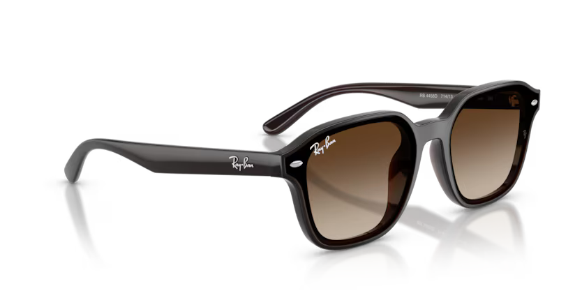 RAYBAN 0RB4458D 714/13