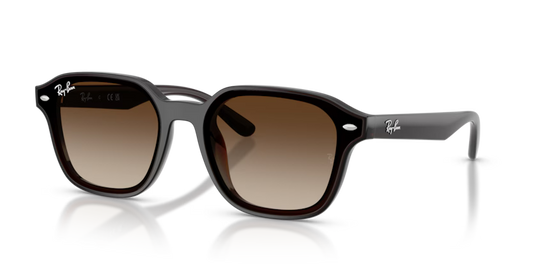 RAYBAN 0RB4458D 714/13