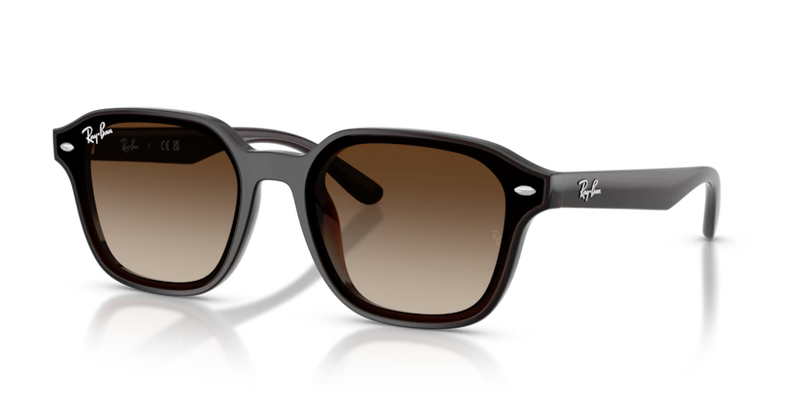 RAYBAN 0RB4458D 714/13
