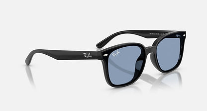 RB4461D 601/80 64-17