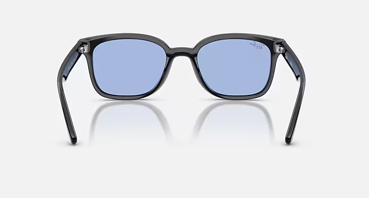 RB4461D 601/80 64-17