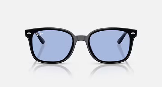 RB4461D 601/80 64-17