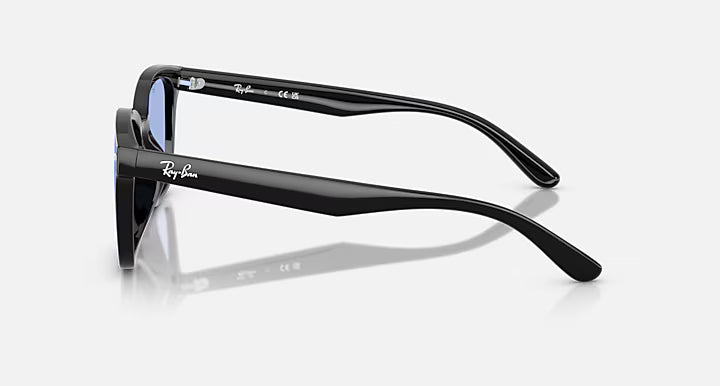 RB4461D 601/80 64-17