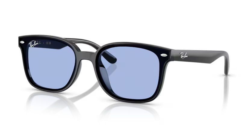 RAYBAN 0RB4461D