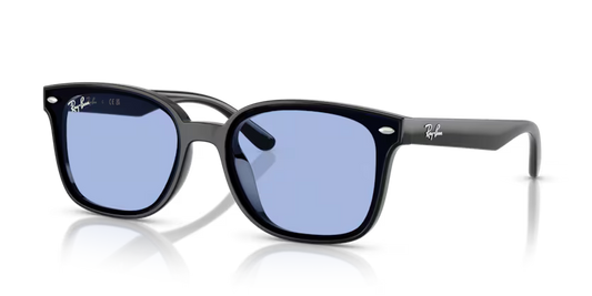 RAYBAN 0RB4461D