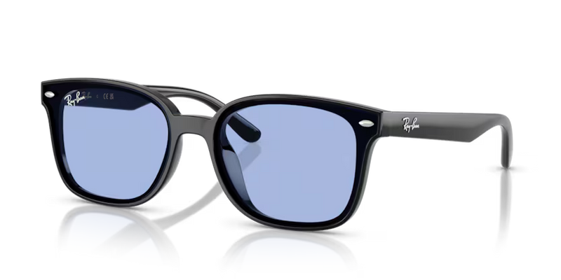 RAYBAN 0RB4461D