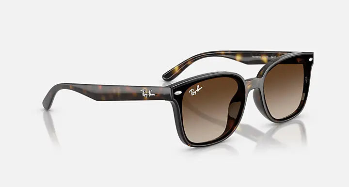 RB4461D 710/13 64-17 RAY-BAN