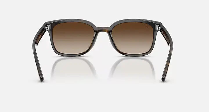 RB4461D 710/13 64-17 RAY-BAN
