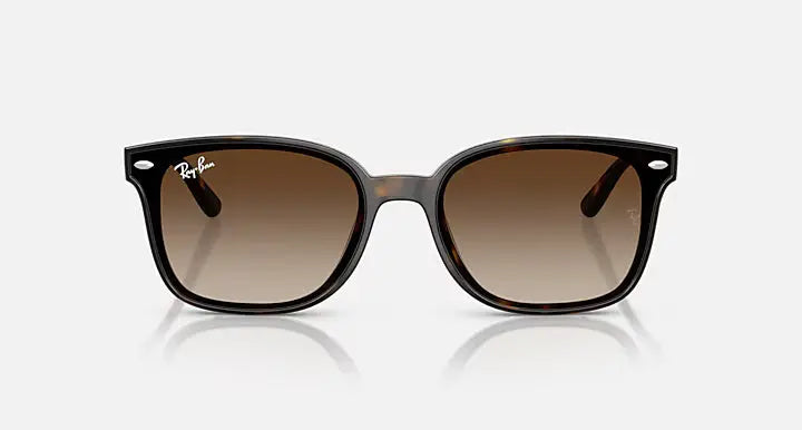 RB4461D 710/13 64-17 RAY-BAN