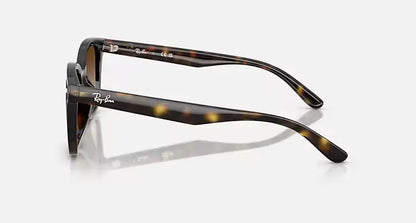 RB4461D 710/13 64-17 RAY-BAN