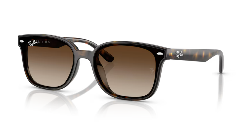 RAYBAN 0RB4461D