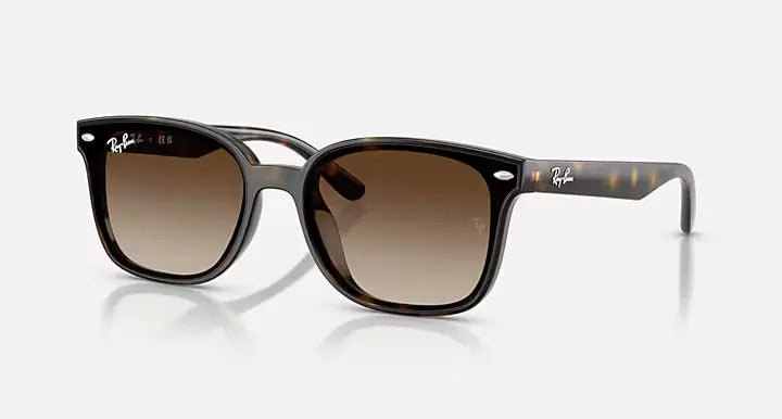 RB4461D 710/13 64-17 RAY-BAN