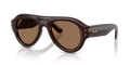 Transparent Dark Brown 689673