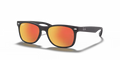 Black Tortoise
