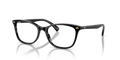 Black Tortoise